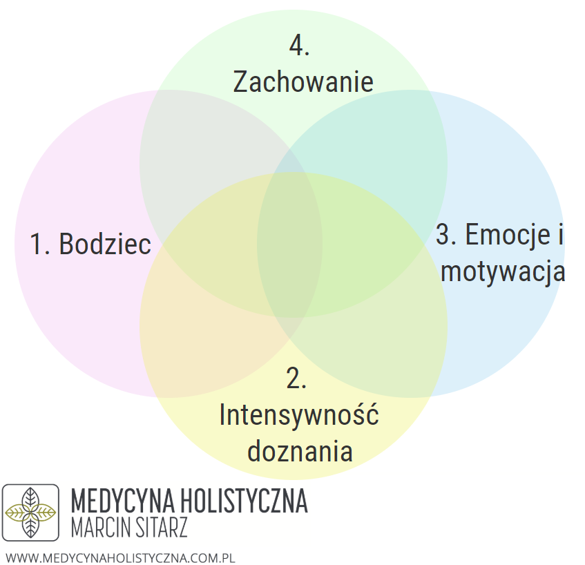 wymiary bólu hypnobirthing po polsku